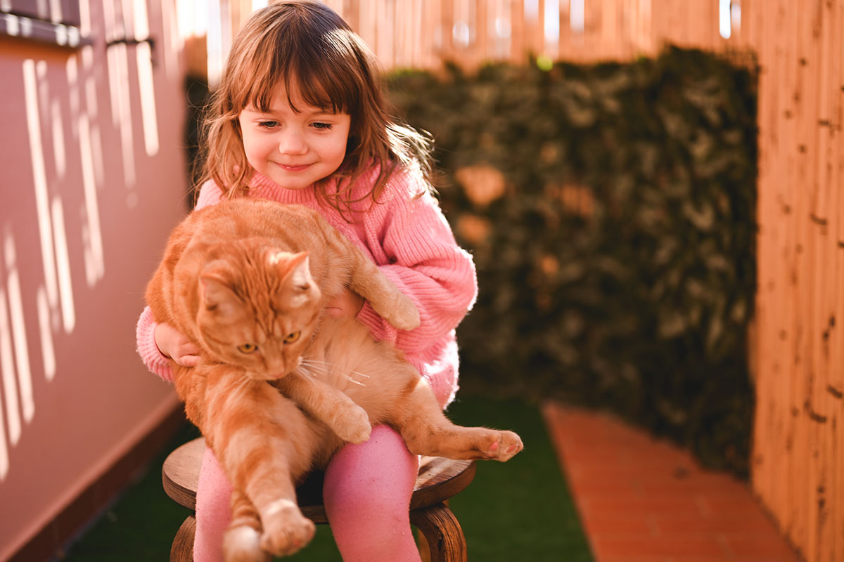 Are You Required to Report Animal Abuse?